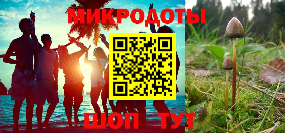 Псилоцибиновые грибы прущие грибы Нальчик