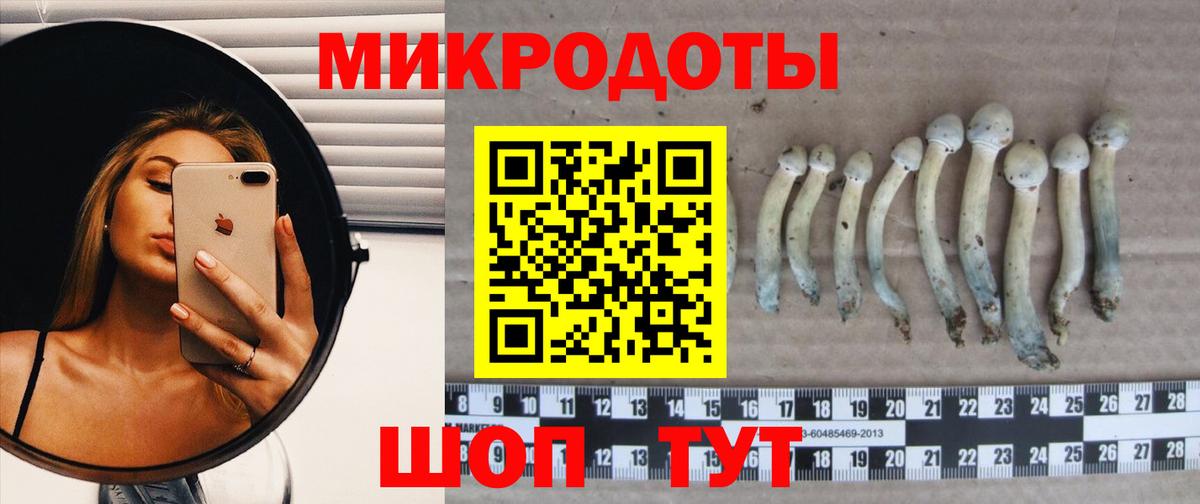 Нальчик  Псилоцибиновые грибы мухоморы  Вход с VPN 